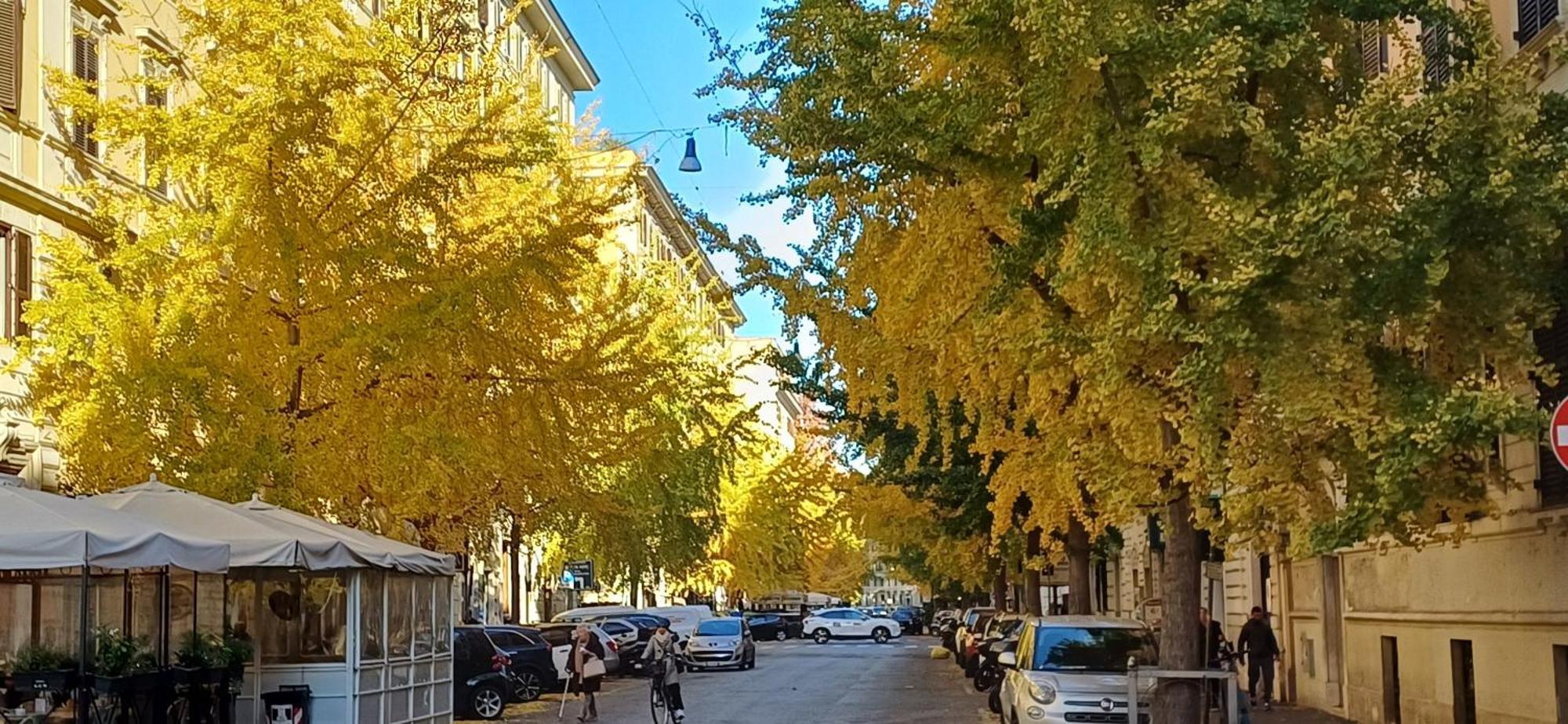 La Casa Dei Papi 71 Lägenhet Rom Exteriör bild